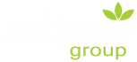 Page not found | Mitecs Group LLC